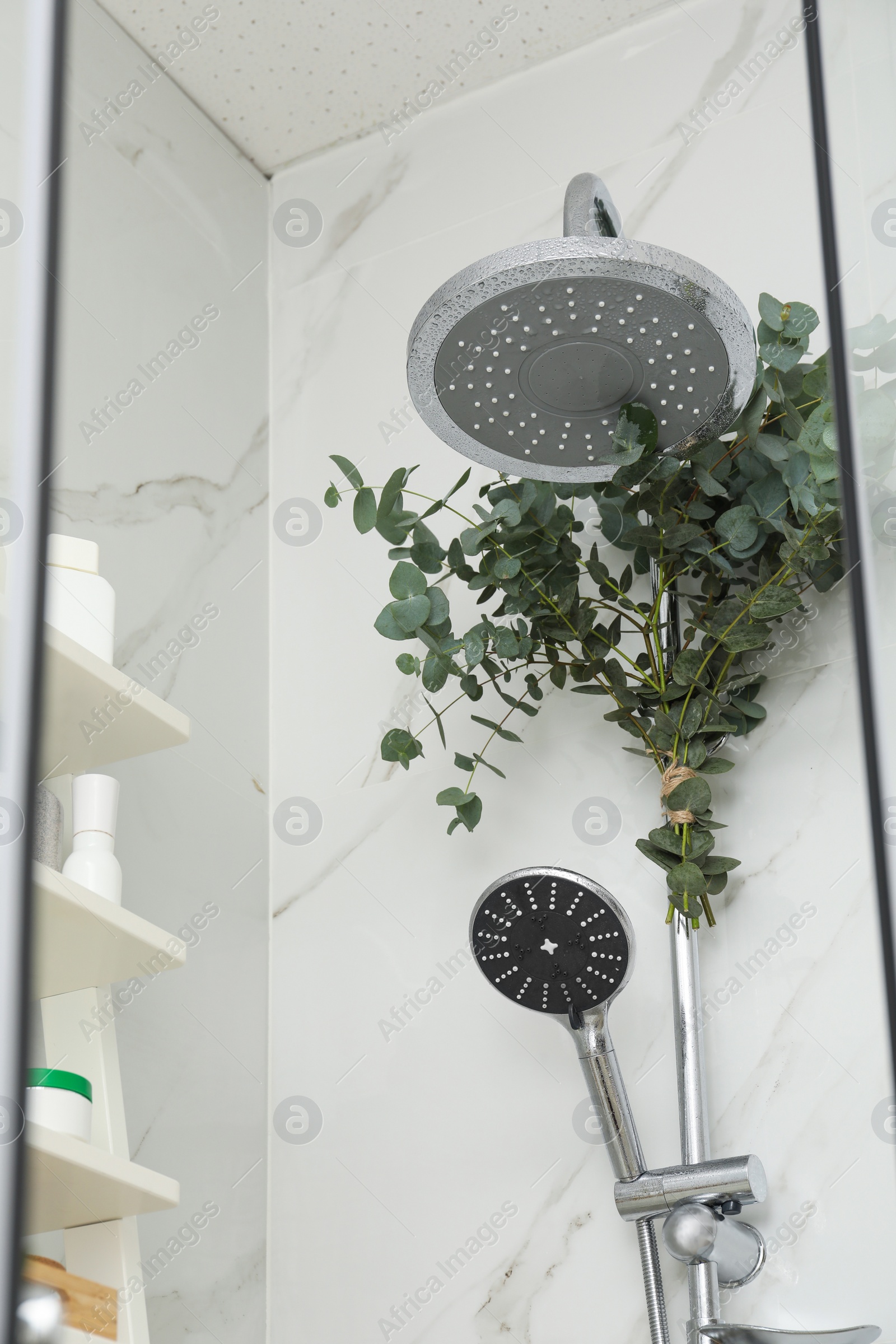 Photo of Branches with green eucalyptus leaves in shower