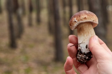 Woman holding beautiful porcini mushroom in forest, closeup. Space for text