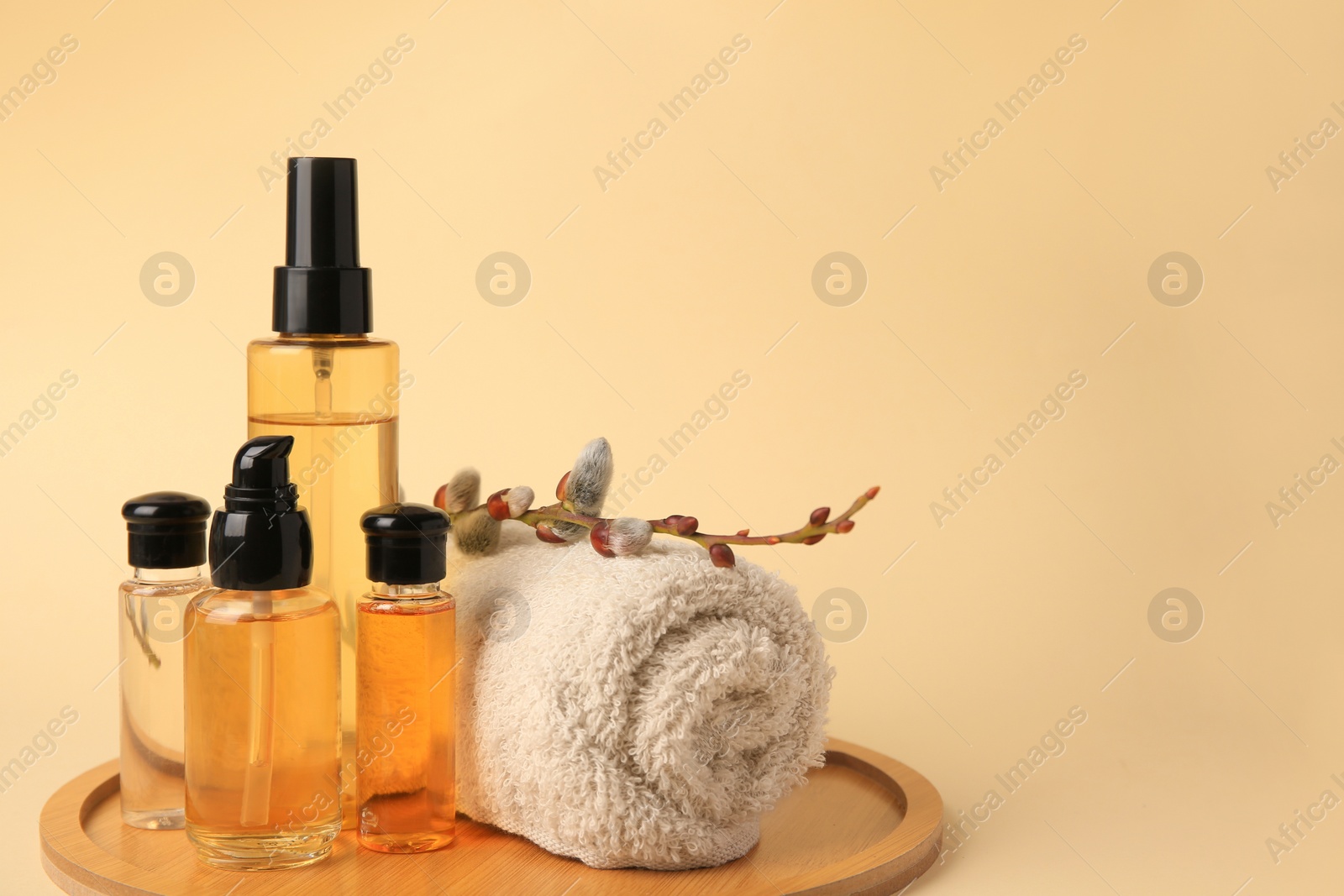 Photo of Bottles with cosmetic products, rolled towel and willow branch on beige background. Space for text