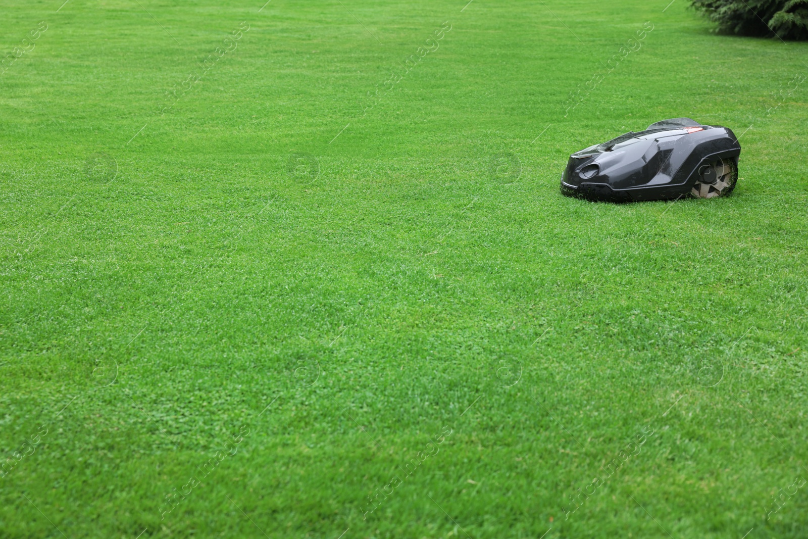 Photo of Modern lawn mower on green grass outdoors. Space for text