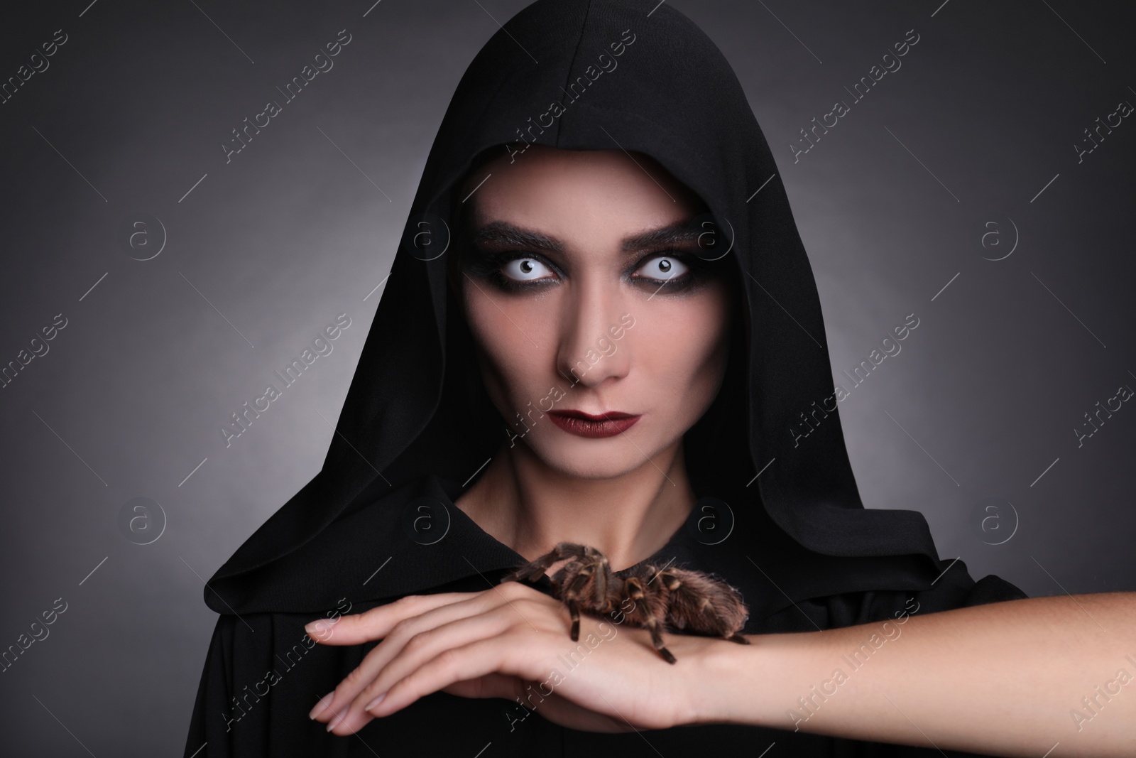 Photo of Mysterious witch with spooky spider on dark background