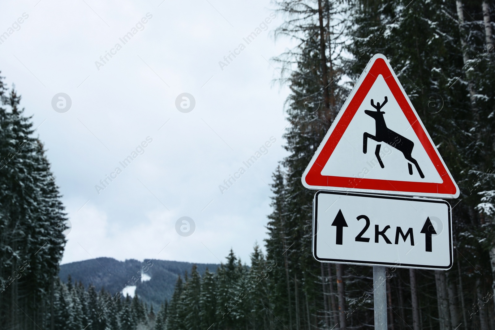 Photo of Wild animals warning road sign near snowy forest