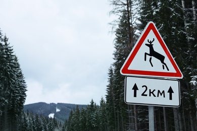 Photo of Wild animals warning road sign near snowy forest