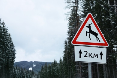 Wild animals warning road sign near snowy forest