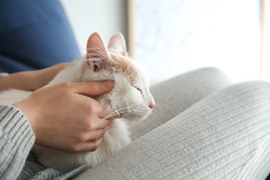 Photo of Woman with cute fluffy cat on blurred background, closeup