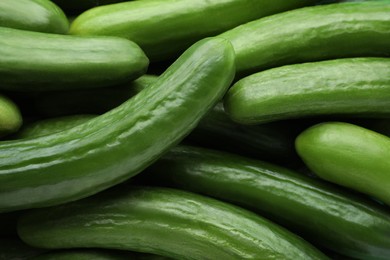 Photo of Many fresh green cucumbers as background, closeup view