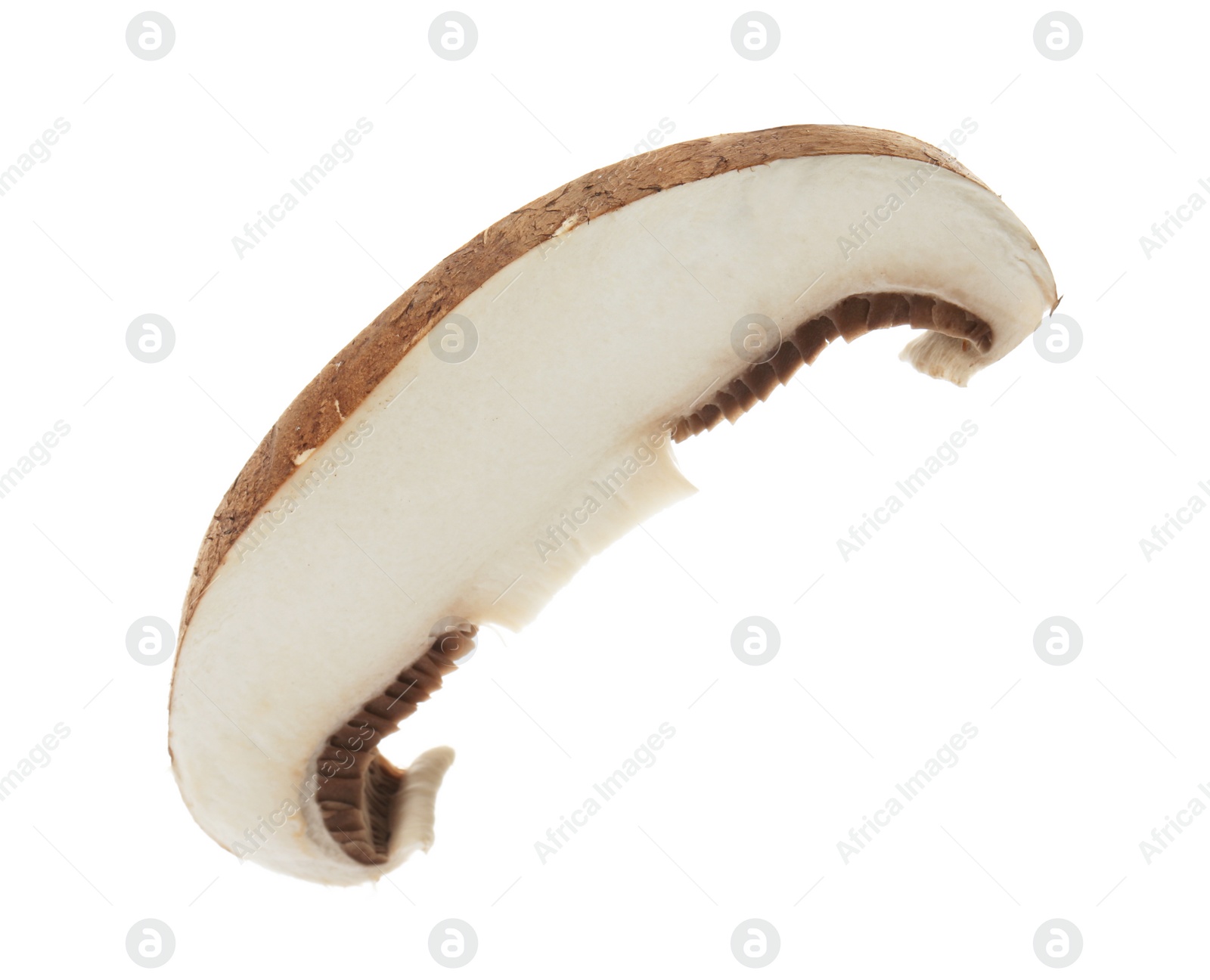 Photo of Slice of raw mushroom on white background