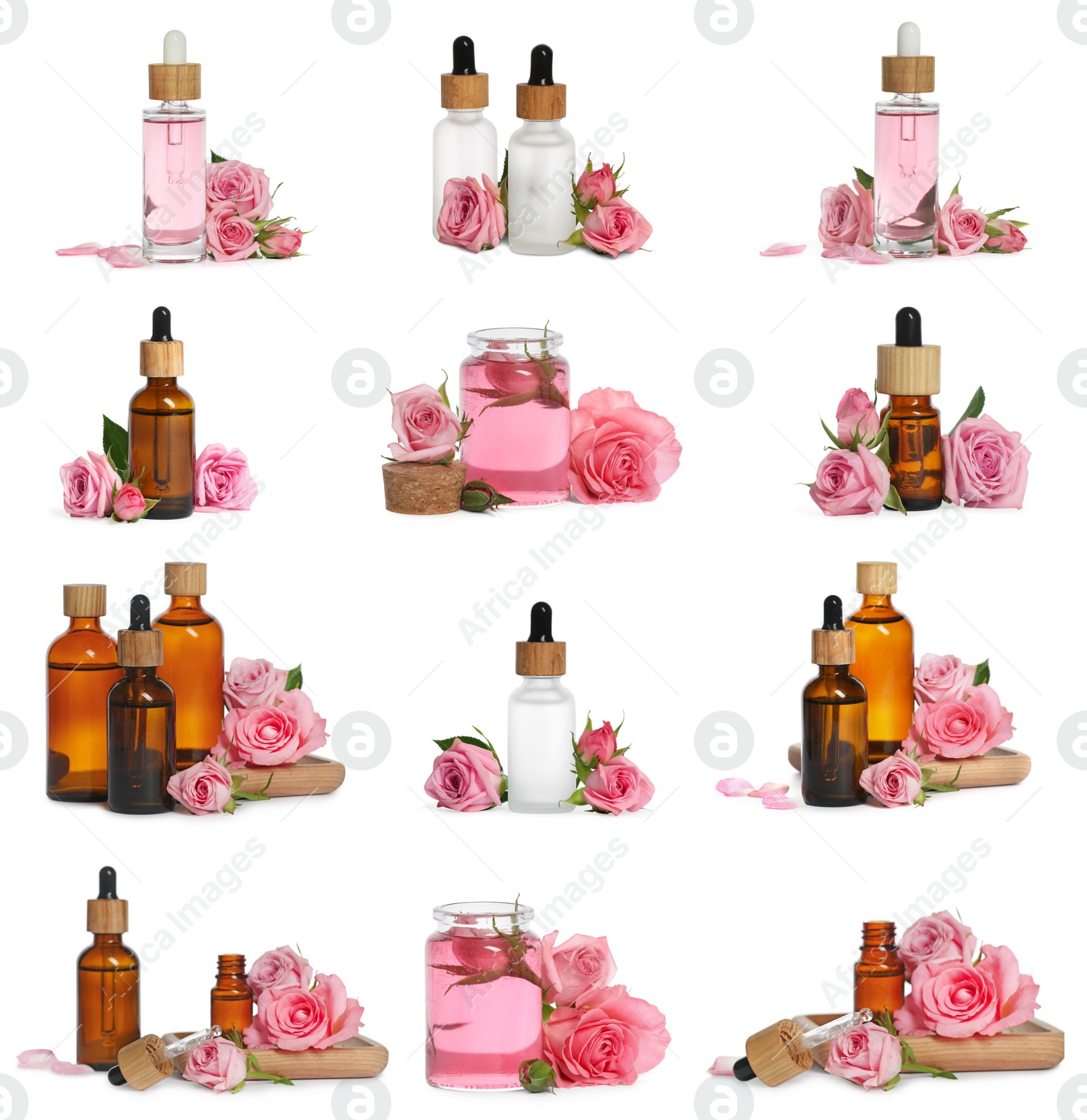 Image of Set with bottles of essential rose oil and flowers on white background