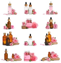 Image of Set with bottles of essential rose oil and flowers on white background