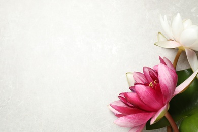 Photo of Beautiful blooming lotus flowers with leaf on light grey table, flat lay. Space for text