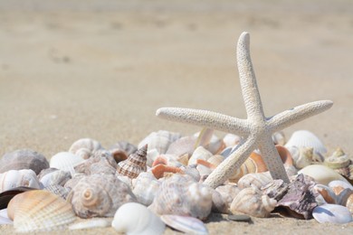 Photo of Beautiful starfish and sea shells on sand, closeup