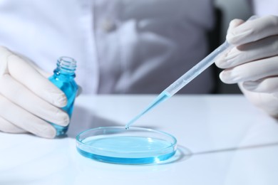 Scientist with bottle dripping liquid from pipette into petri dish at white table, closeup