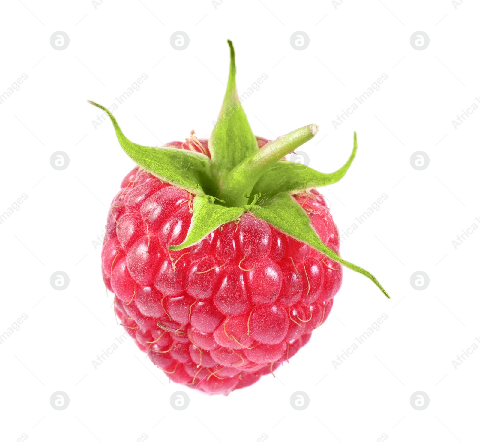 Photo of One tasty ripe raspberry isolated on white