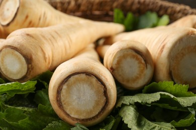 Photo of Many fresh ripe parsnips with leaves as background, closeup