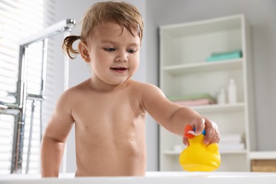 Photo of Cute little girl playing with rubber duck in bathtub at home