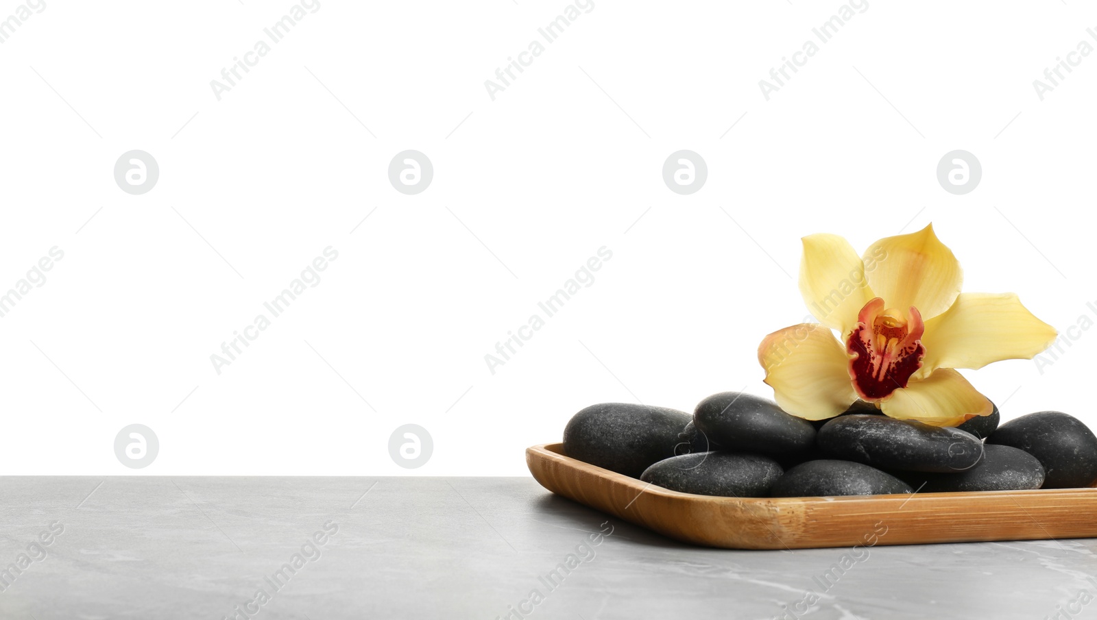 Photo of Wooden plate with orchid flower and spa stones on table against white background. Space for text