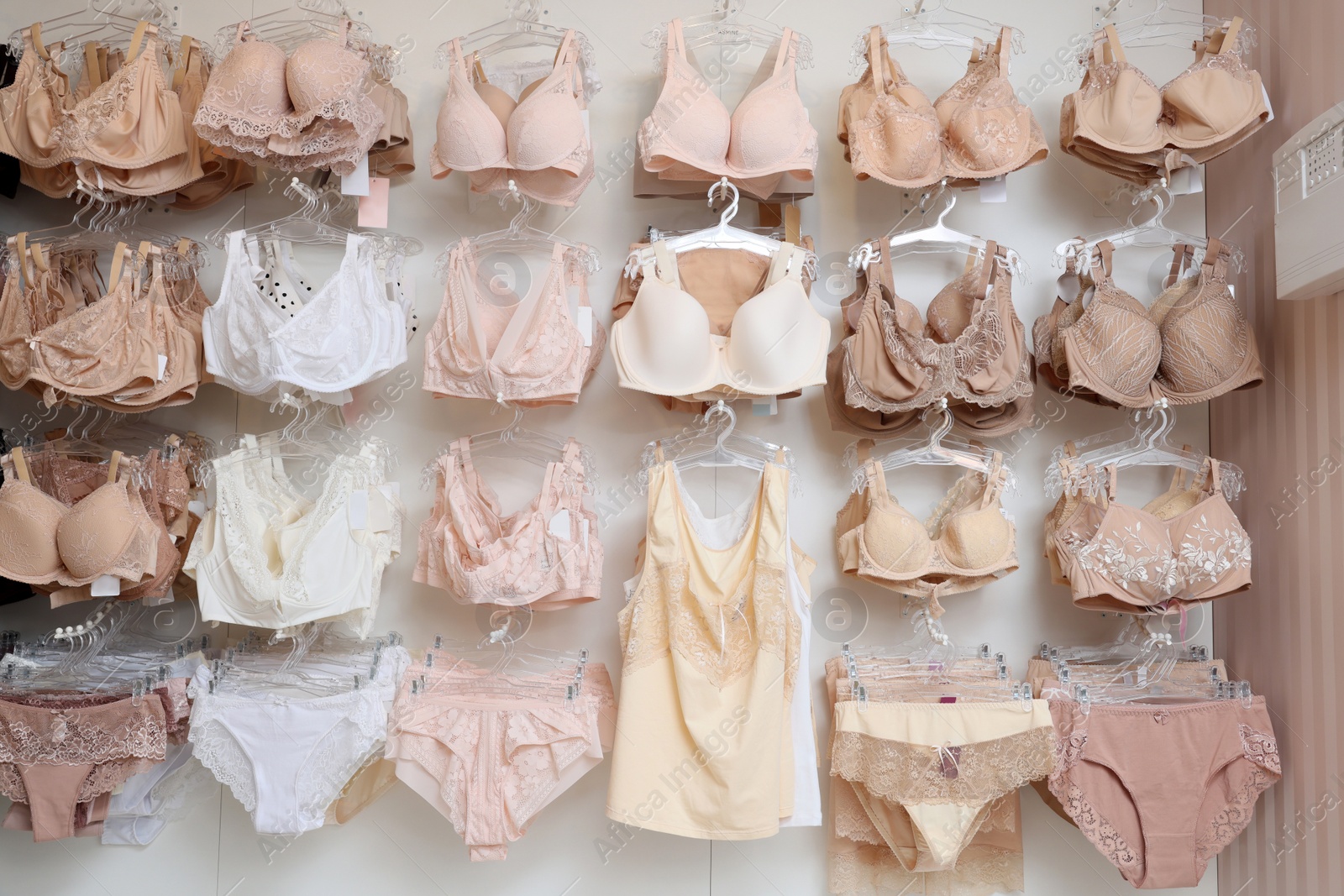 Photo of Many different beautiful women's underwear in lingerie store