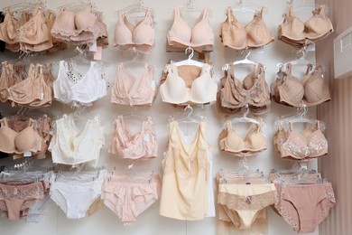 Many different beautiful women's underwear in lingerie store