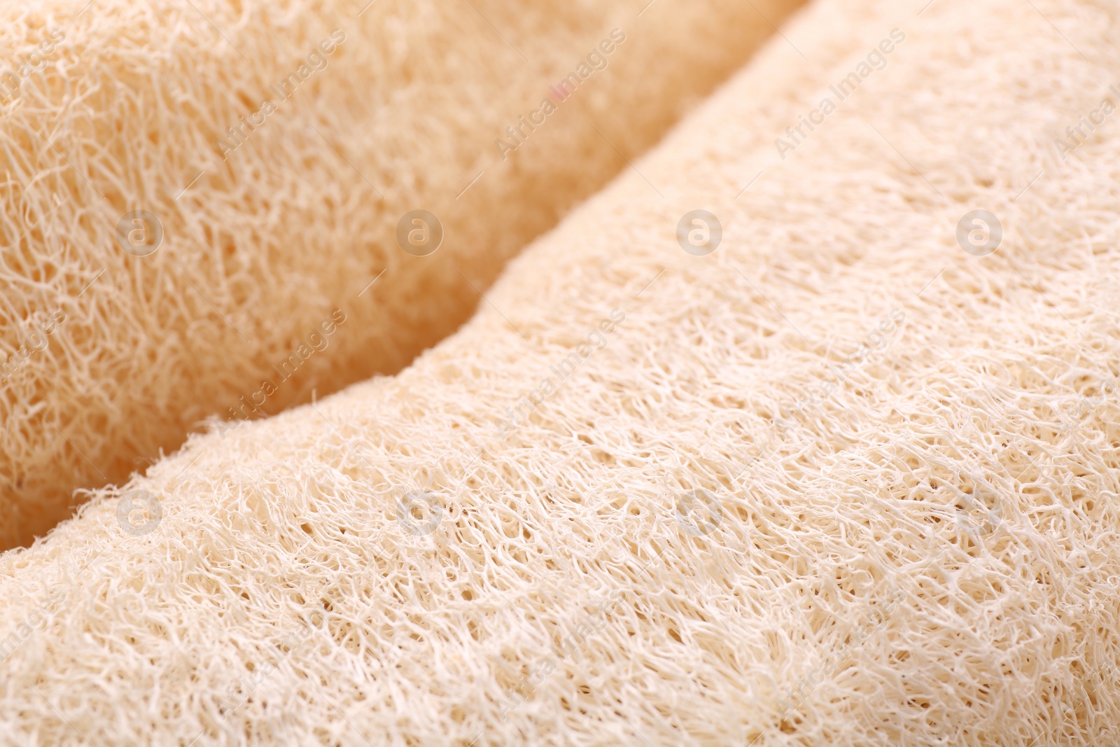 Photo of Natural loofah sponges as background, closeup view