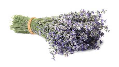 Bunch of beautiful lavender flowers on white background