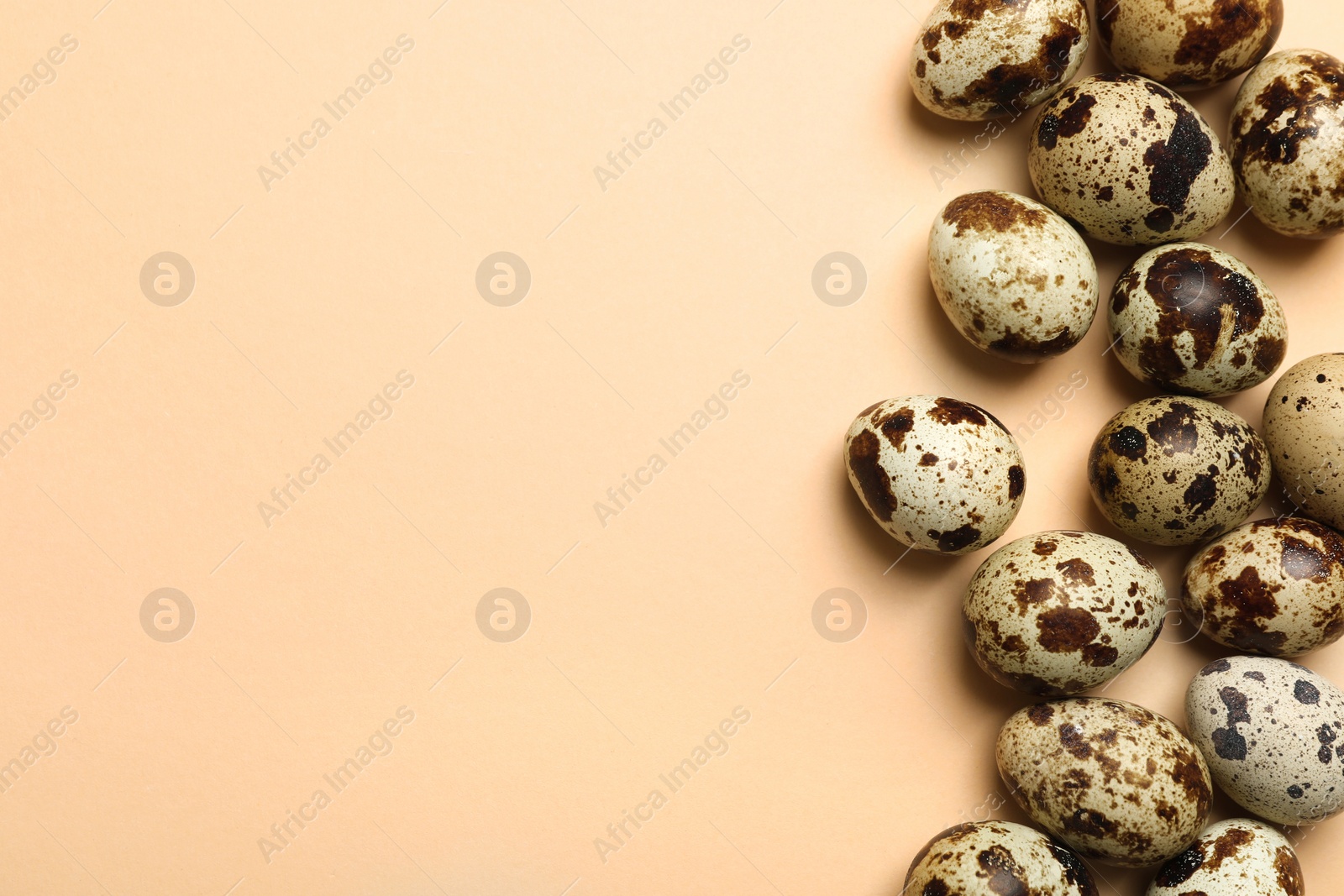 Photo of Many speckled quail eggs on beige background, flat lay. Space for text