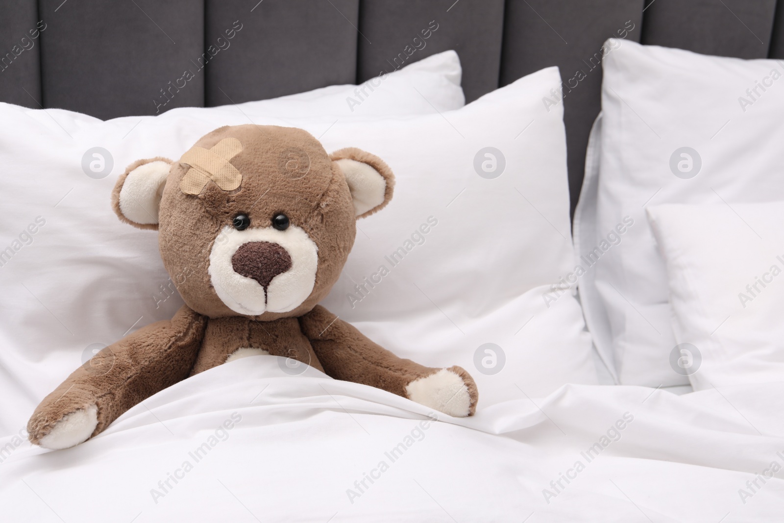 Photo of Toy cute bear with sticking plaster under blanket in bed