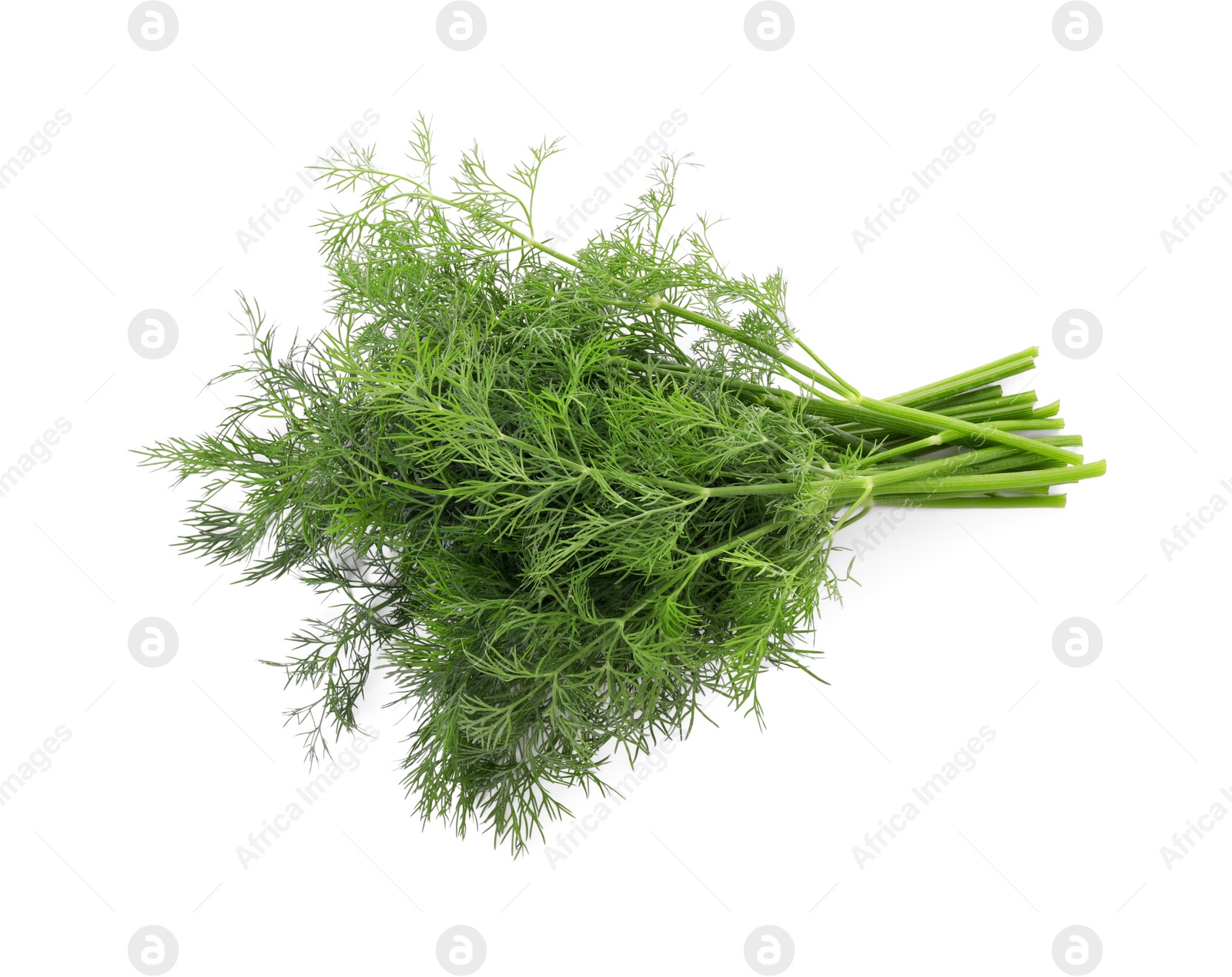 Photo of Sprigs of fresh dill isolated on white, top view
