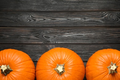 Photo of Ripe orange pumpkins on black wooden table, flat lay. Space for text