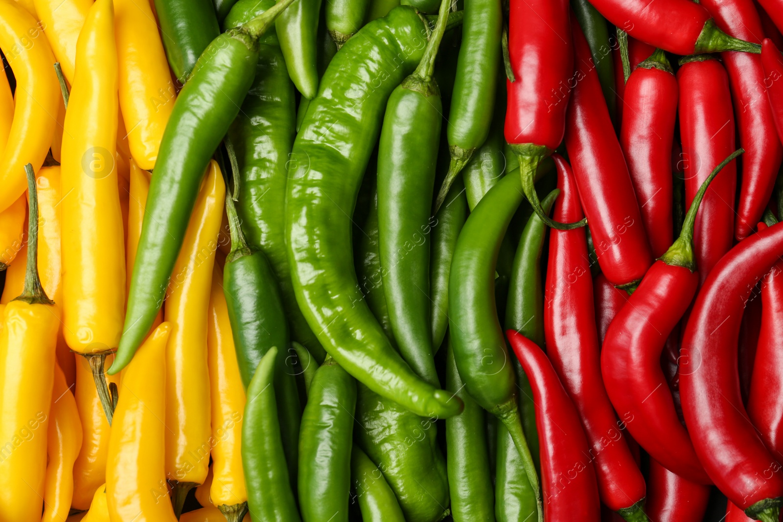 Photo of Ripe hot chili peppers as background, closeup