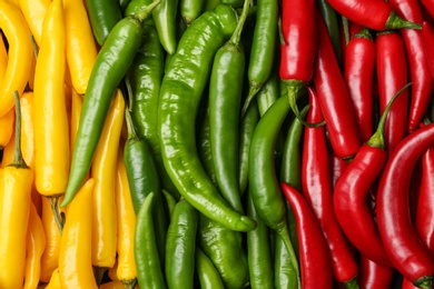 Photo of Ripe hot chili peppers as background, closeup