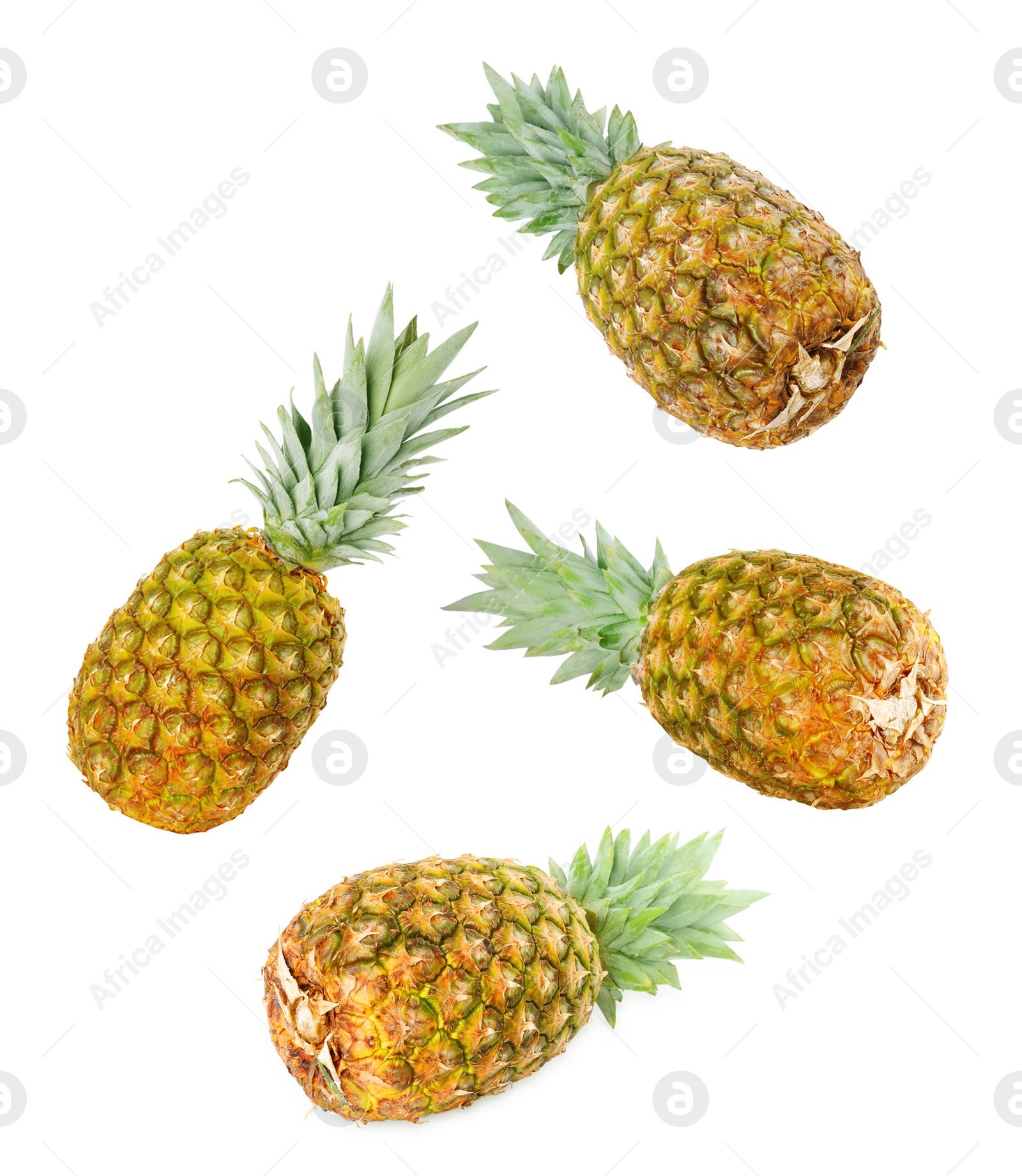 Image of Whole juicy pineapples falling on white background