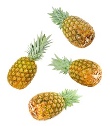 Image of Whole juicy pineapples falling on white background