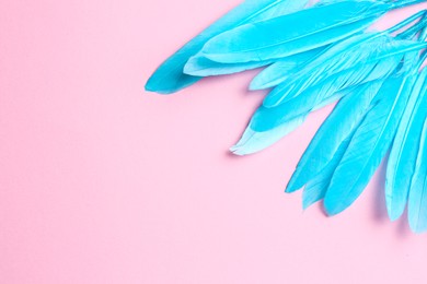 Turquoise feathers on pink background, flat lay. Space for text