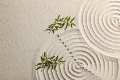 Photo of Beautiful spirals and branches on sand, top view with space for text. Zen garden