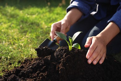 Photo of Woman planting tree seedling into fertile soil, closeup. Space for text