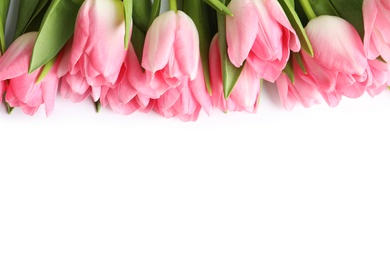 Beautiful spring tulips on white background, top view. International Women's Day