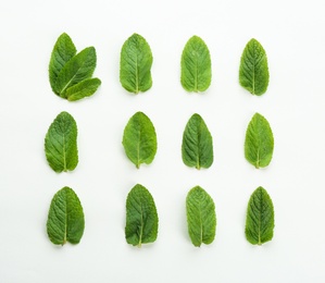 Flat lay composition with fresh mint leaves on white background