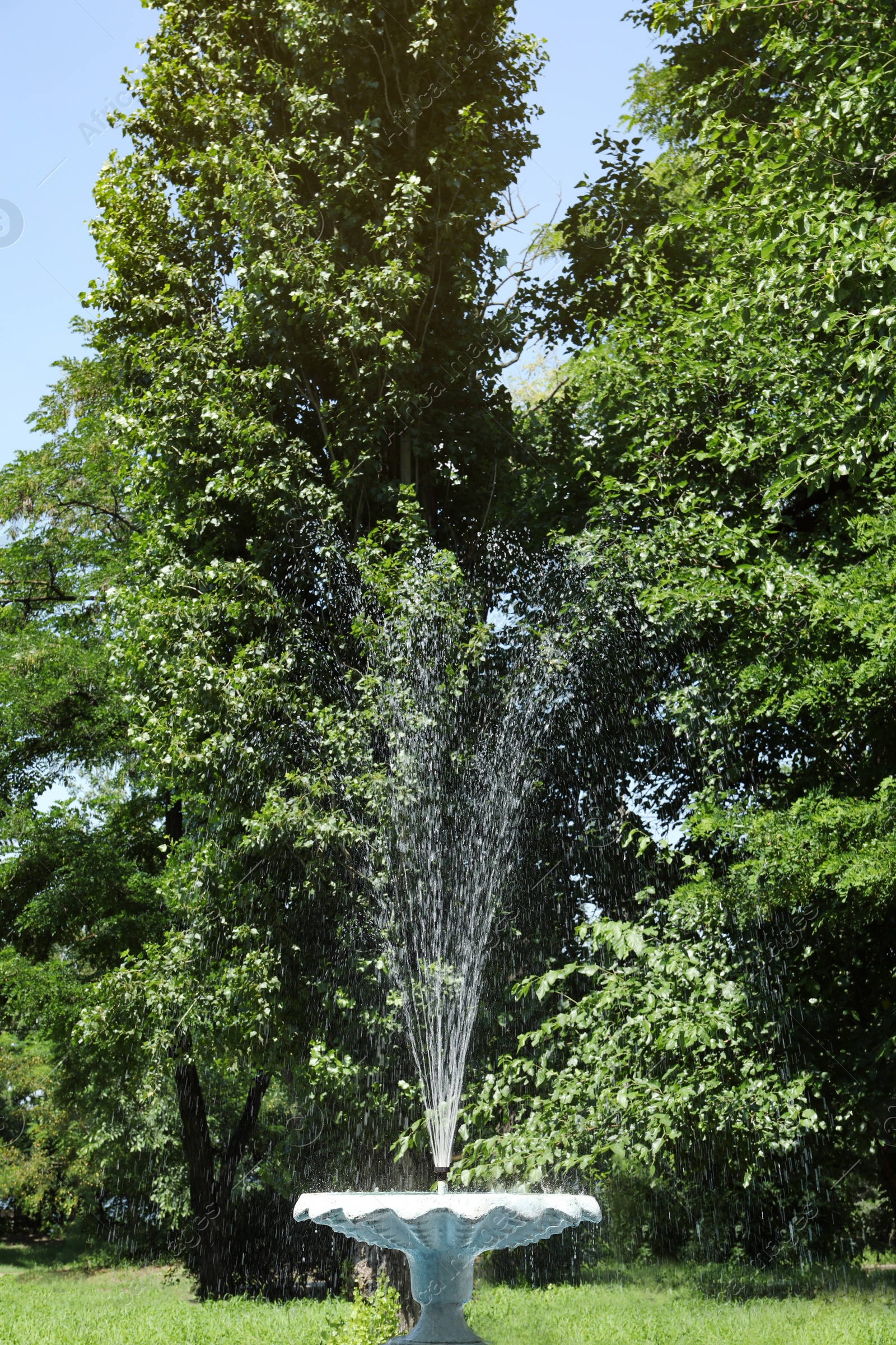 Photo of Beautiful view of fountain in park on sunny day