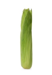 Tasty sweet corn cob on white background