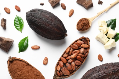 Composition with cocoa pods, powder and beans on white background, top view