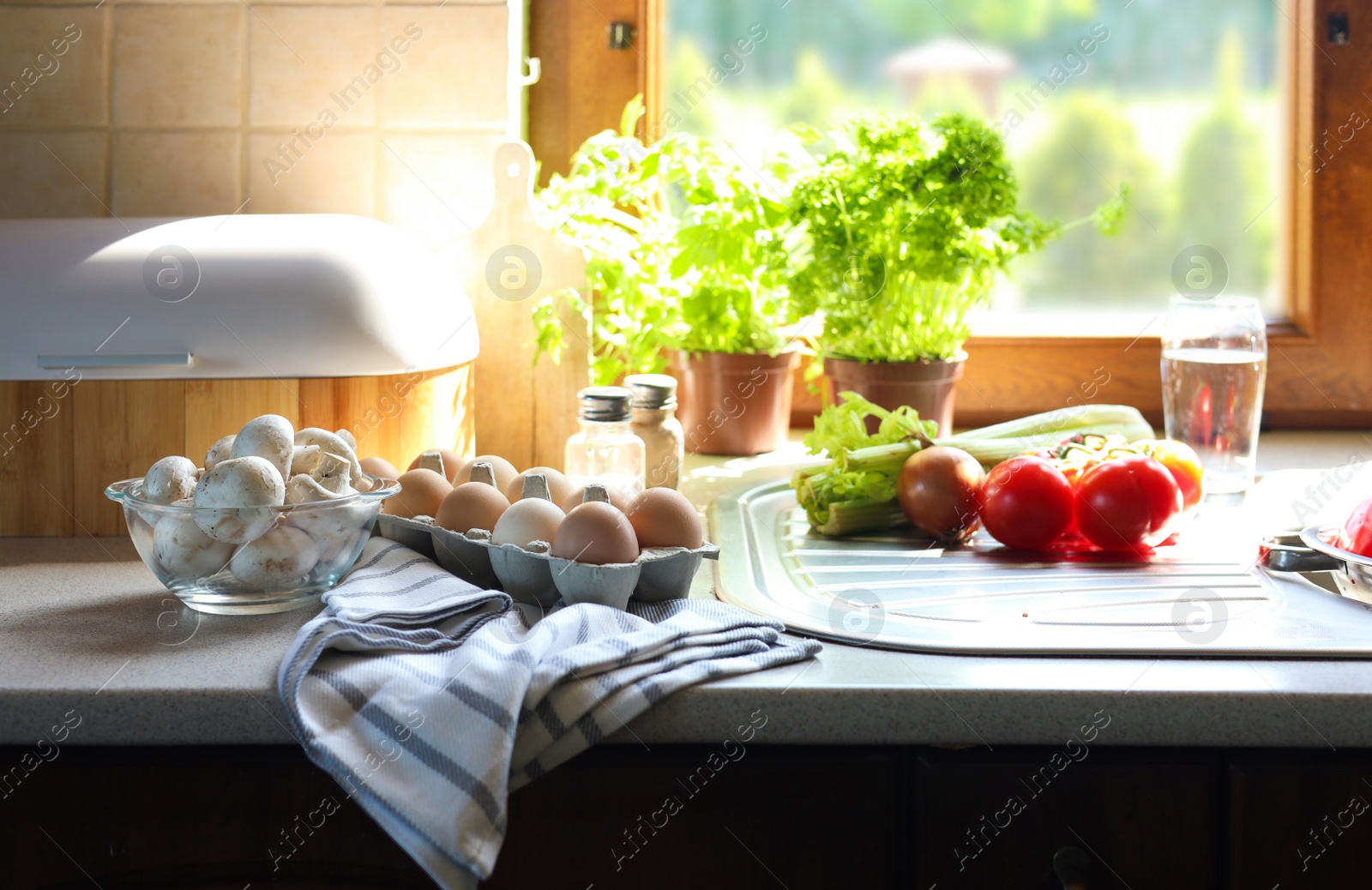 Photo of Kitchen counter with potted herbs and fresh products near window on sunny morning