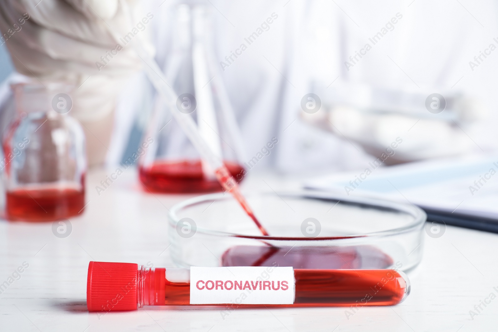 Photo of Scientist taking blood from Petri dish at table in laboratory, focus on test tube with blood sample and label CORONA VIRUS