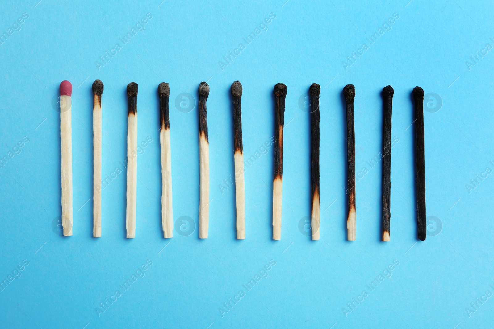 Photo of Row of burnt matches and whole one on color background, flat lay. Human life phases concept