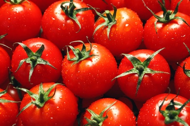 Delicious ripe cherry tomatoes with water drops as background, above view