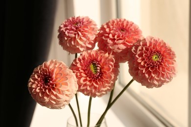 Bouquet of beautiful dahlia flowers in vase near window indoors