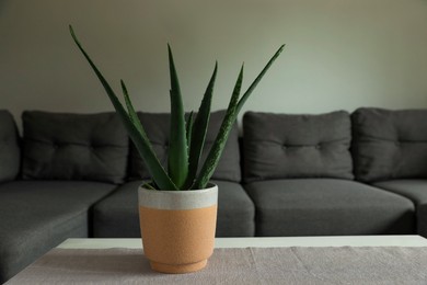 Photo of Beautiful potted aloe vera plant on table in living room