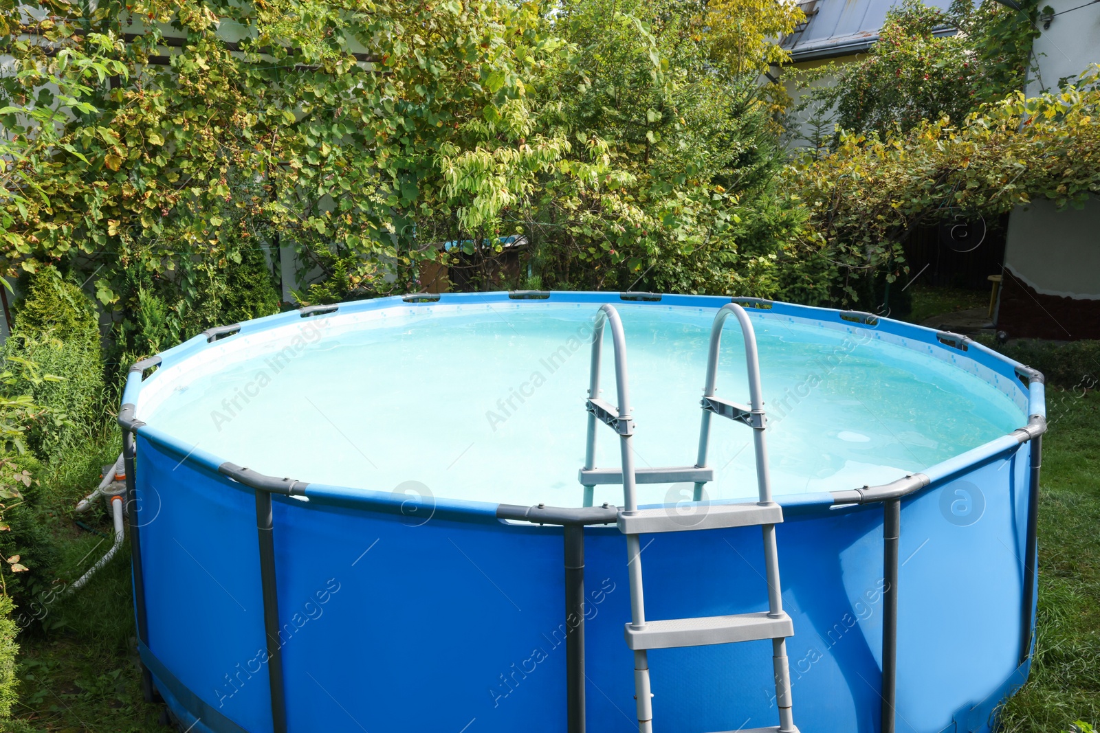 Photo of Above ground swimming pool in backyard on sunny day