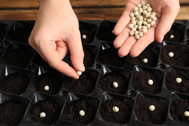 Woman planting soybeans into fertile soil at wooden table, closeup. Vegetable seeds