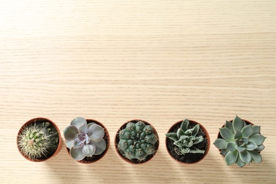 Photo of Flat lay composition with different succulent plants in pots on wooden table, space for text. Home decor