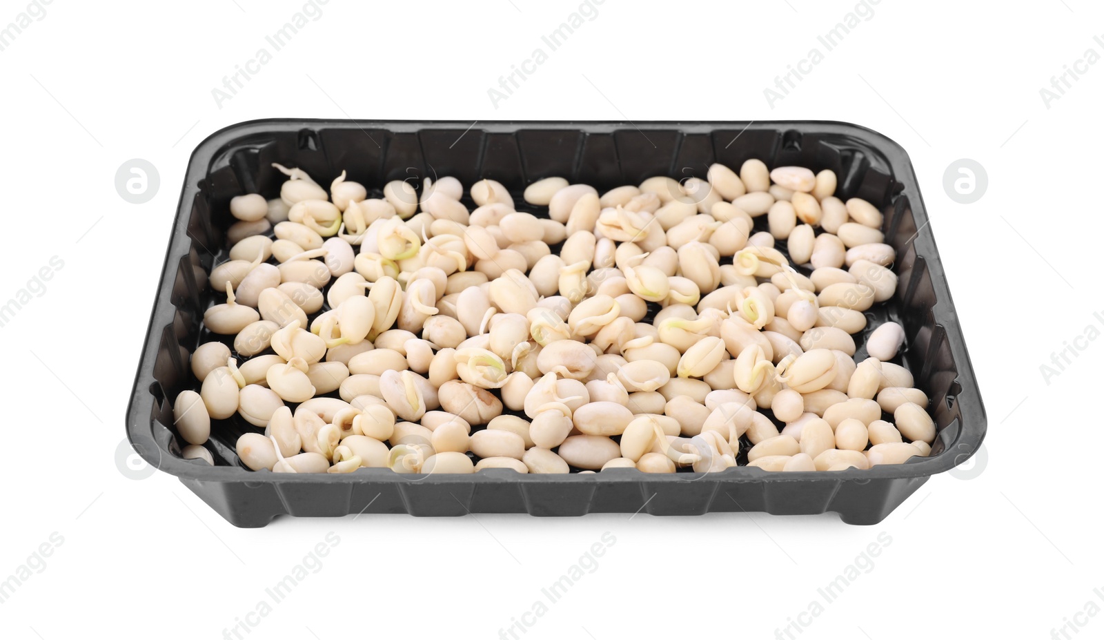 Photo of Plastic tray with sprouted kidney beans isolated on white